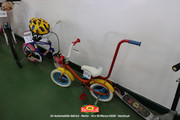 IMG-5229