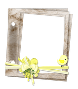 BVS naturepower frame08