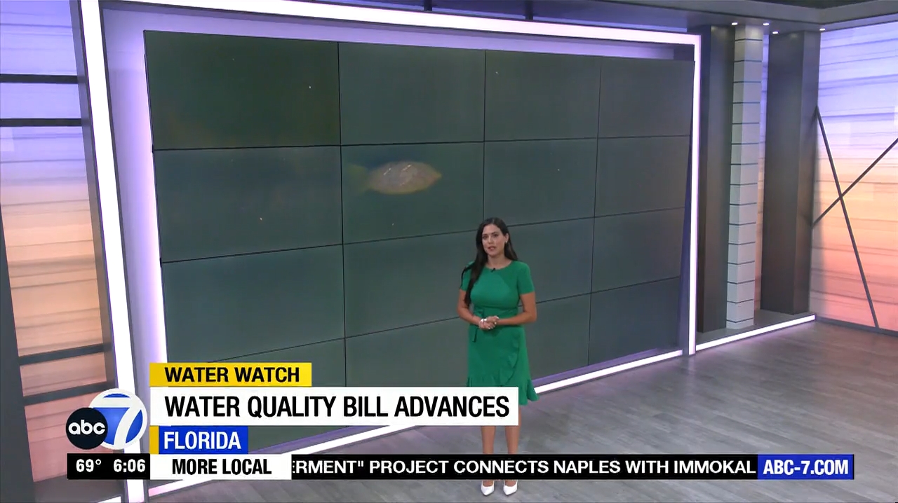 Abc7 More In The Morning Wkn 6Am Su 20240317 10001100-1.mp4_snapshot_07.04.397