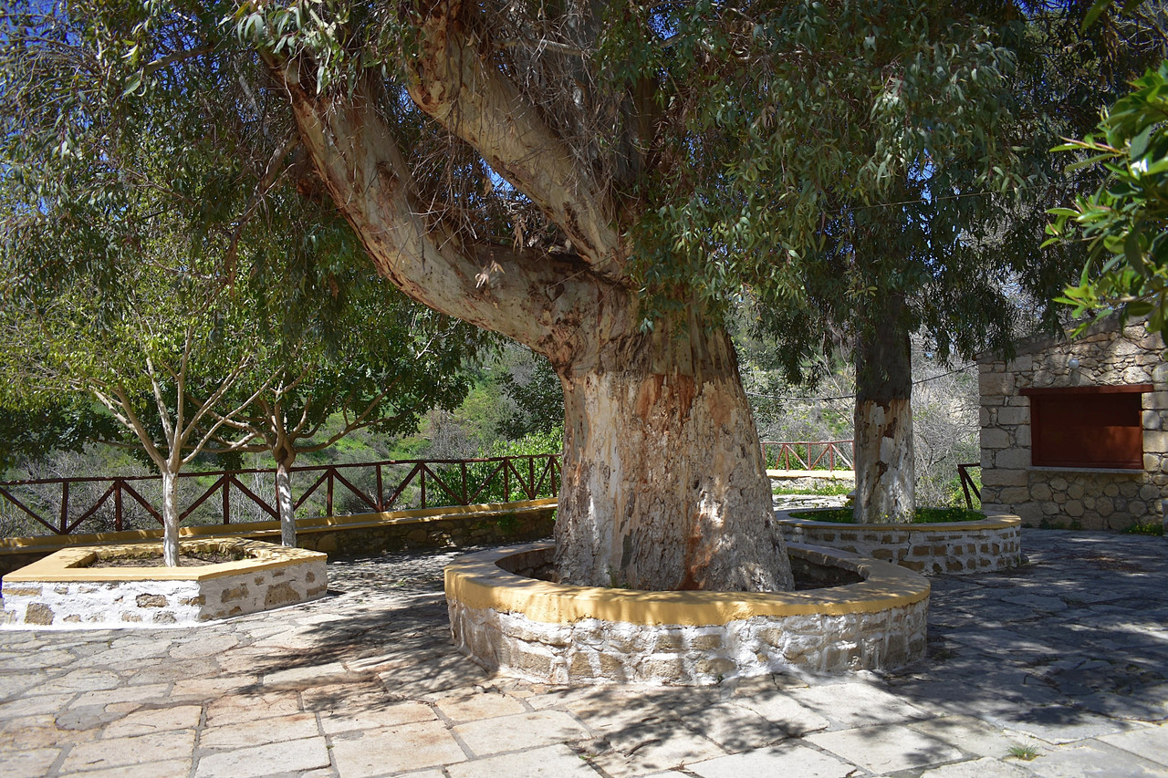 Αγία Ειρήνη (3)
