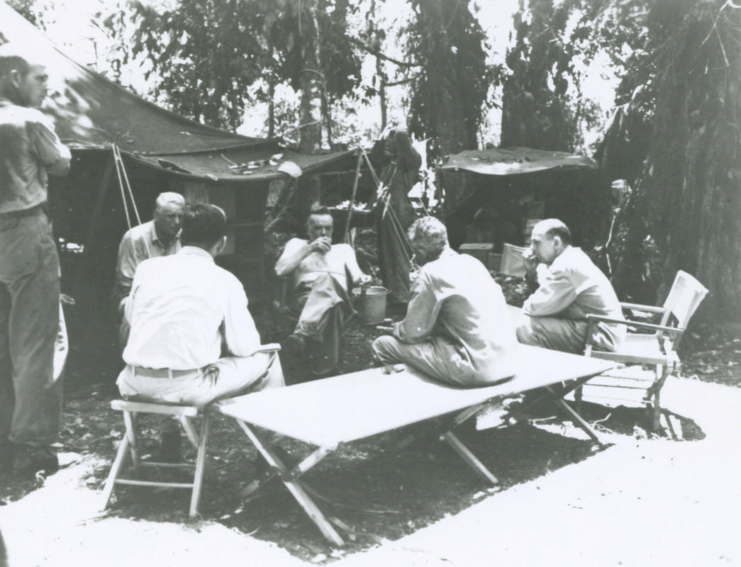 341764649-1596365547515193-9418544799936