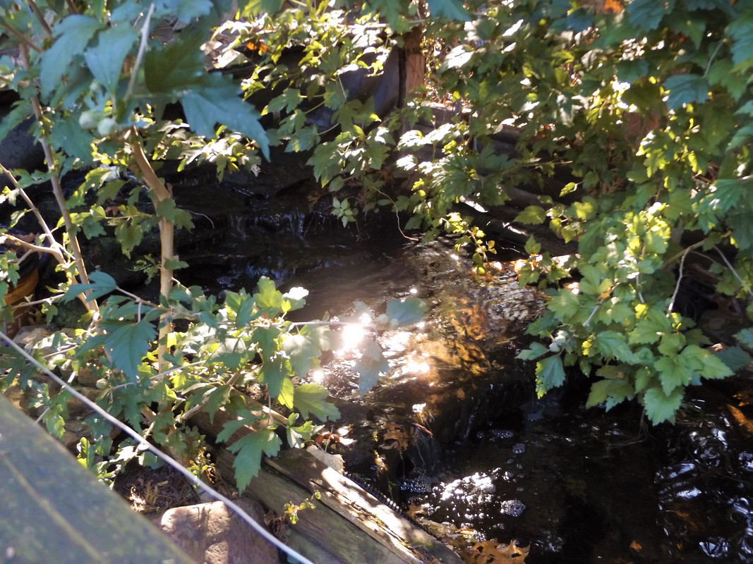 DSCF7978-2.jpg
