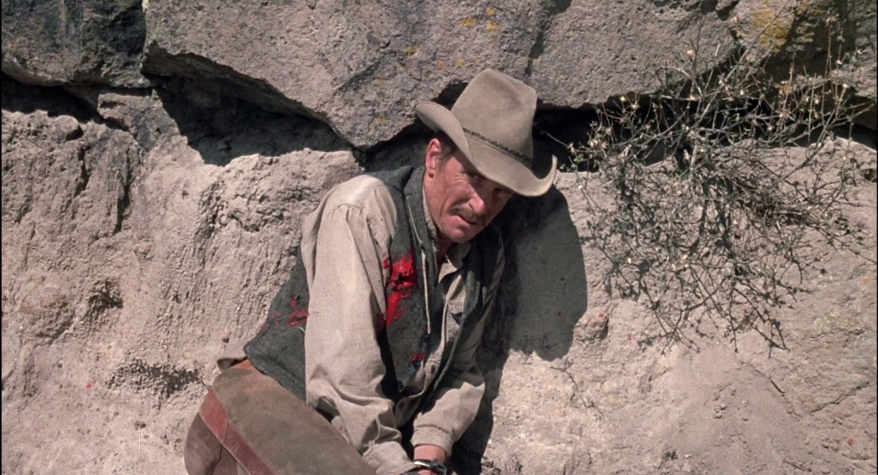 vlcsnap-2023-12-07-21h30m52s522