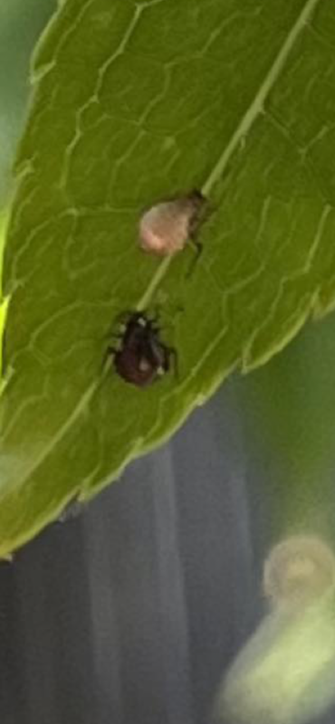 30AE31F4-4459-474C-8EC5-A8E611077281