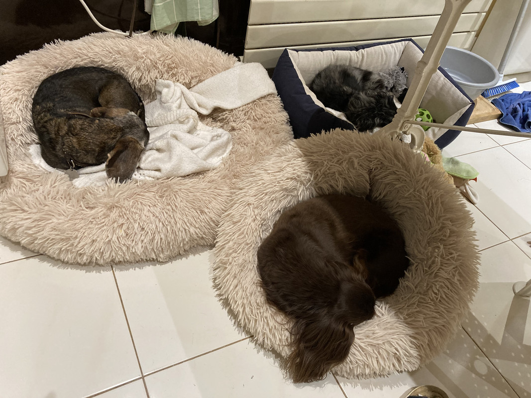 [Image: IMG-3978.jpg]