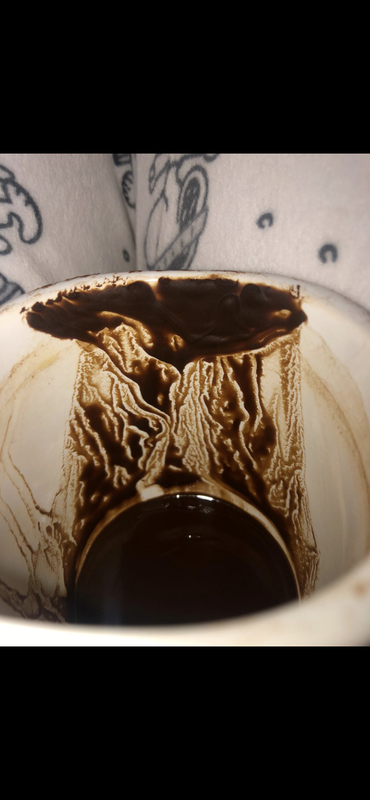 5774FEE5-4D20-4A40-B78E-F2F385DF9346