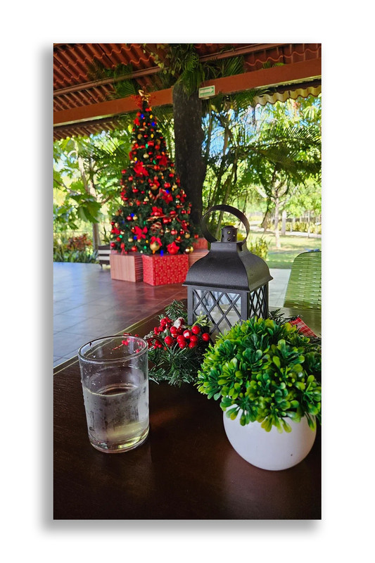 Юкатан. Неделя в декабре 2025