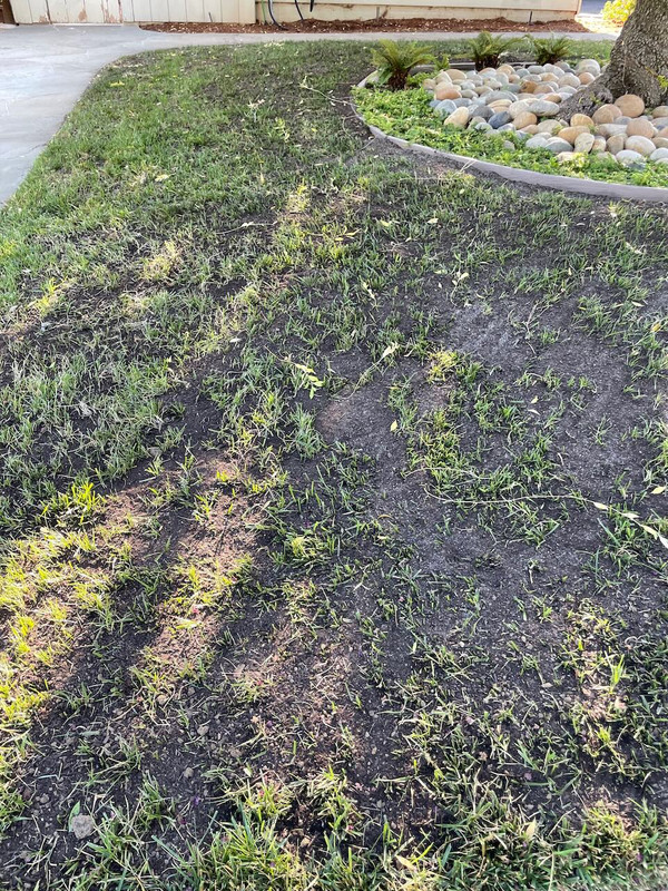 Top Dressing 5 Postimages top-dressing-5-postimages