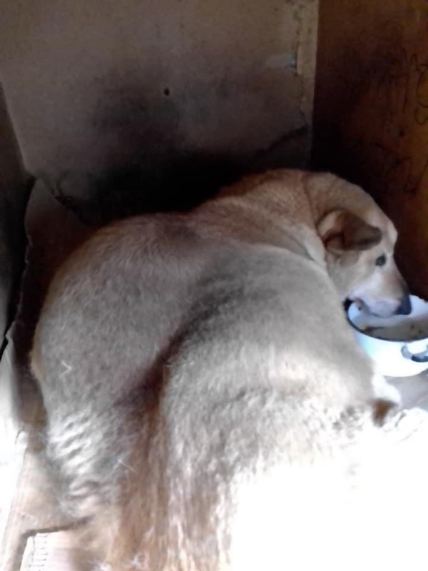 C42DAD42-1E53-4B0E-80A9-4C151BBB51A6