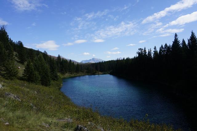Día 4: Llegamos a Jasper - Vancouver y Rocosas Low Cost: Dos semanas por lo mejor de Canadá (6)