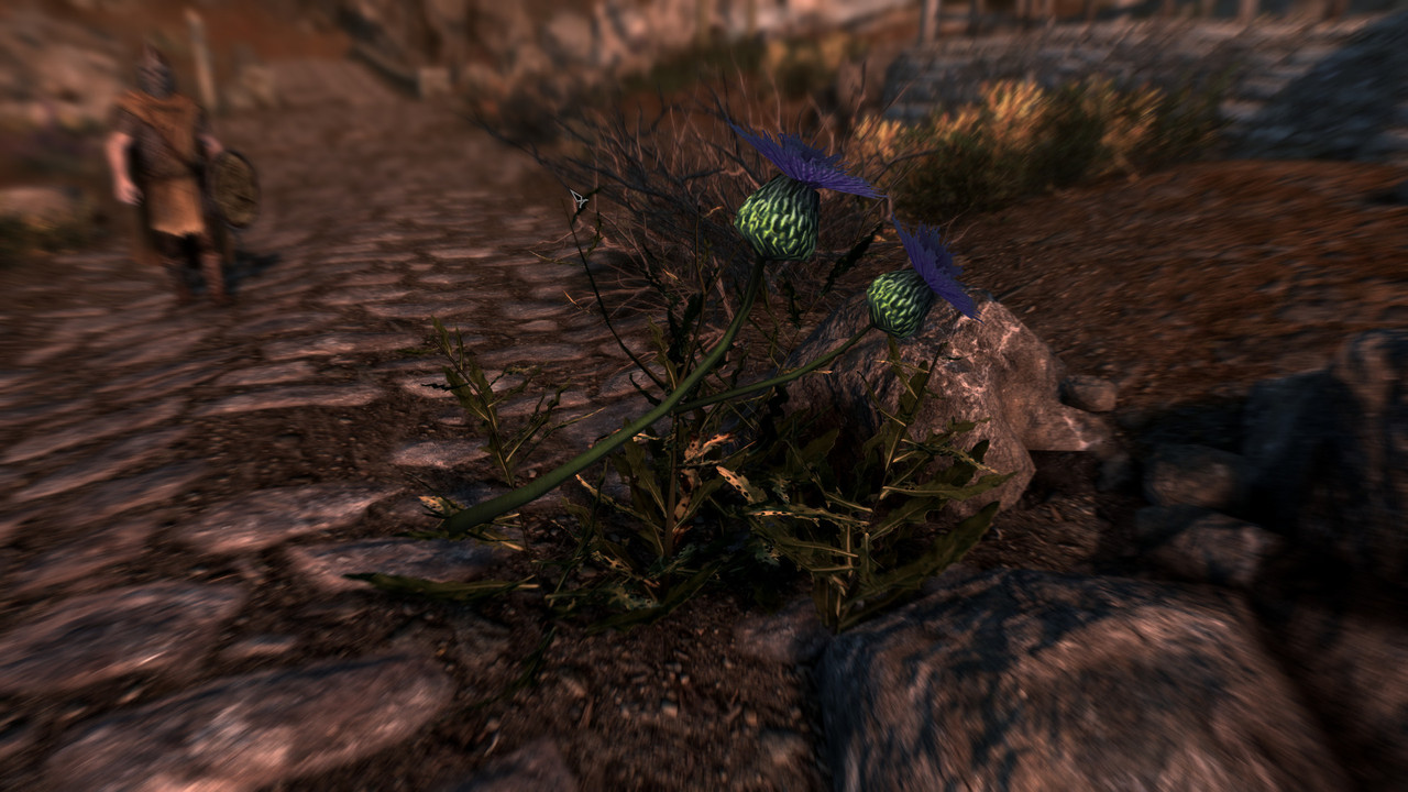 The-Elder-Scrolls-V-Skyrim-Special-Editi