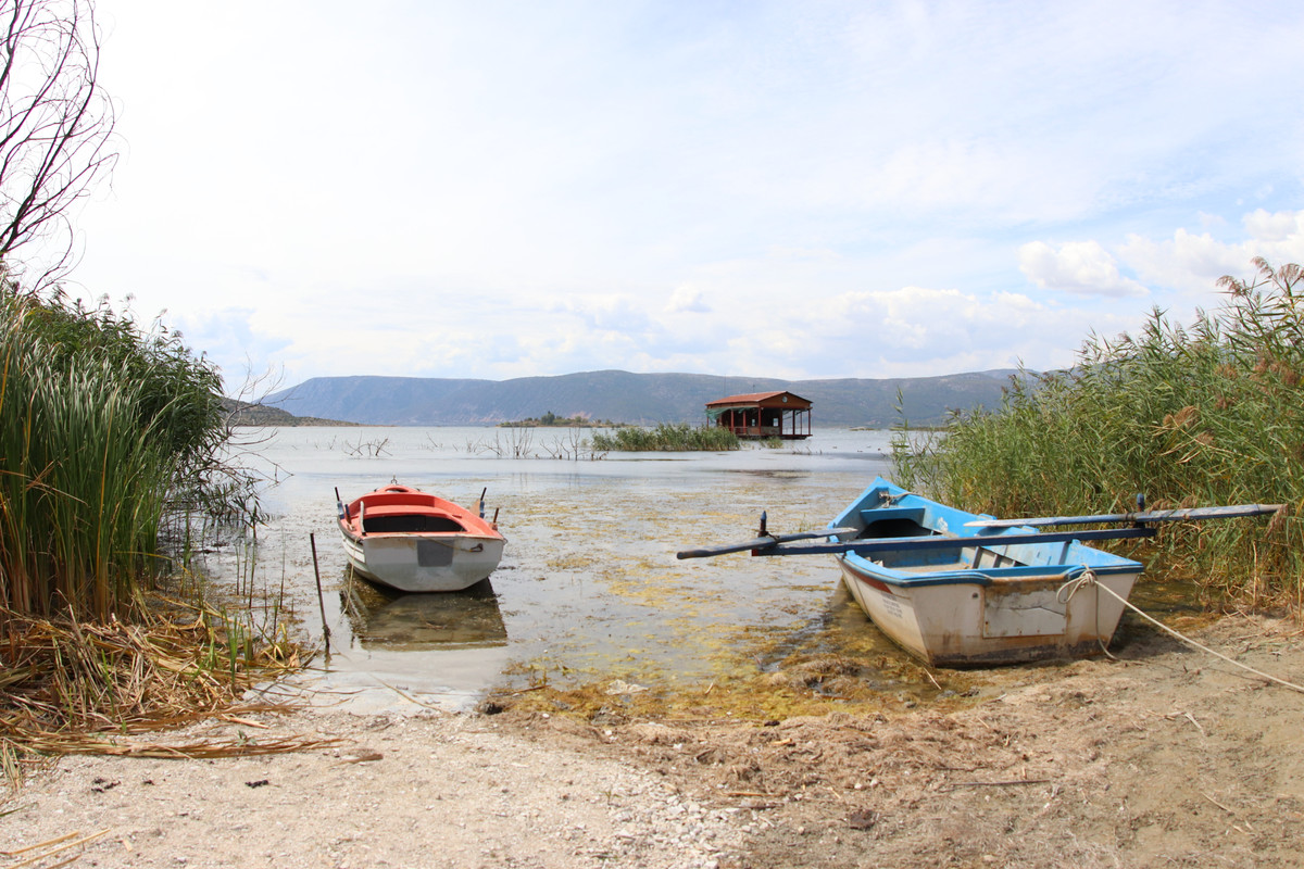 23B8698A-049A-4B9D-8CDF-7126FBE248B2