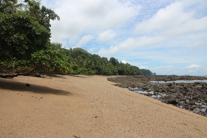 DIA 13: EXCURSIÓN DE UN DÍA A CORCOVADO - DE TORTUGAS Y PEREZOSOS. COSTA RICA 2019 (46)