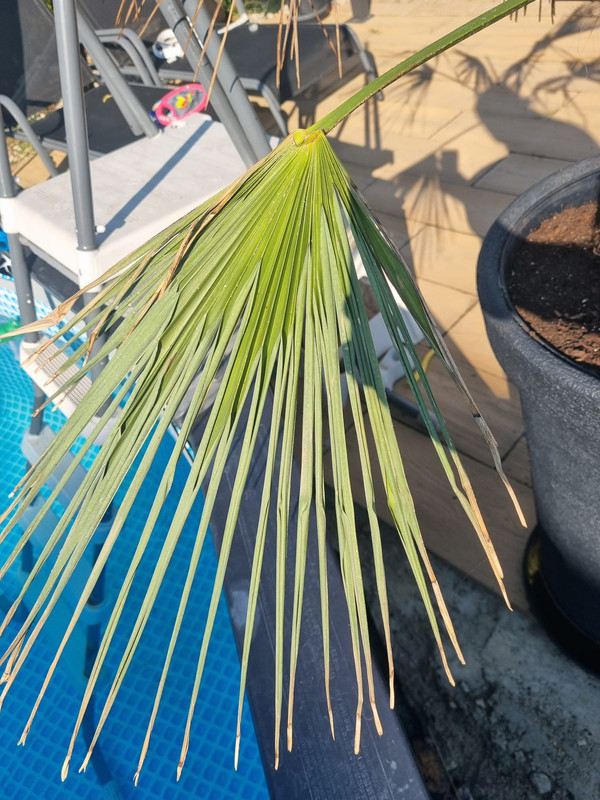 Zdjęcie WhatsApp 2024-07-18 o 14.33.01_ee9275df