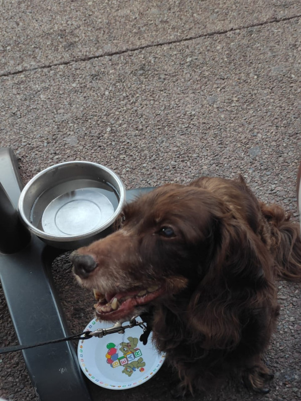 [Image: IMG-20230922-WA0002.jpg]