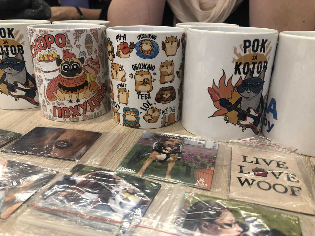 243B800F-F42C-404E-9E63-FBA5496D7939