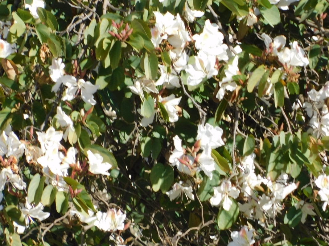 DSCN0638.jpg