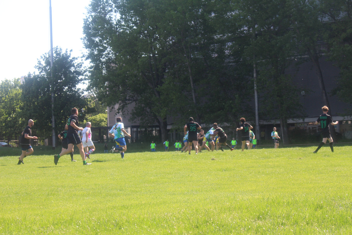 IMG-0345