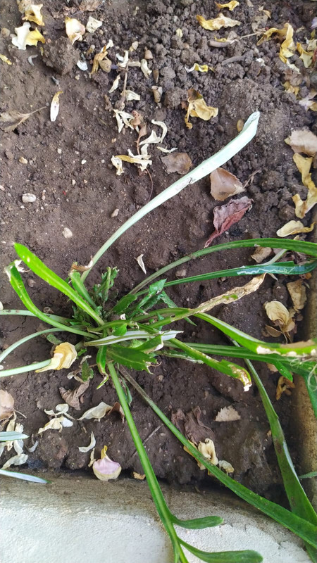 8CD96BE8-4EF8-4BC6-A2B9-2DD3D8C0A2A4