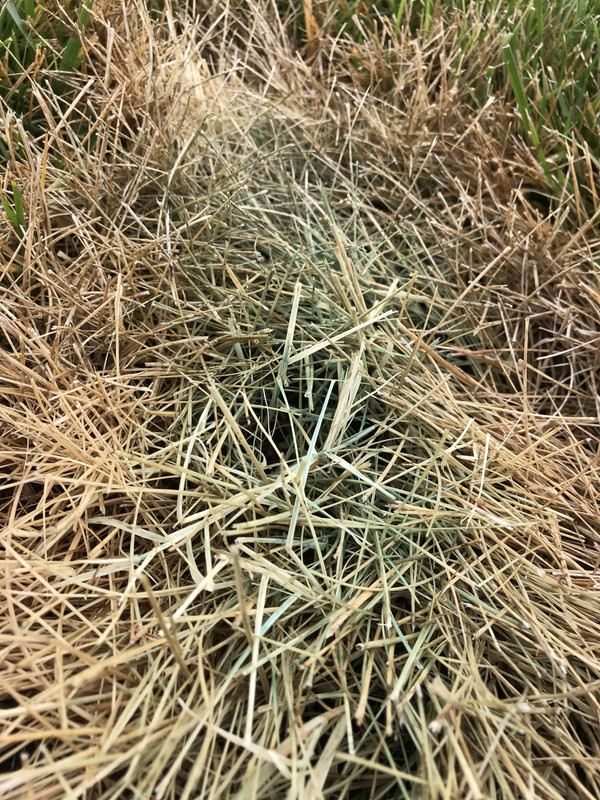 9D0E362B-D241-42D8-B036-3C12283D9FD5