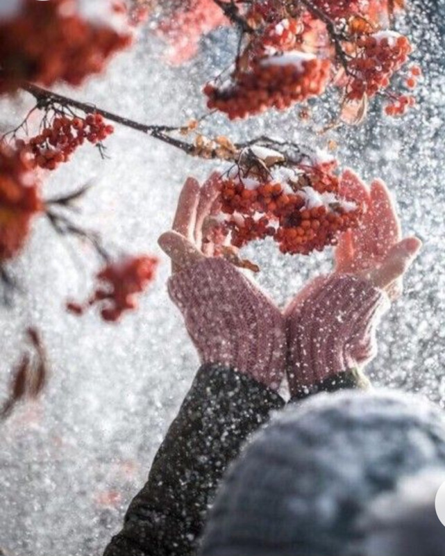 Screenshot_20230131_224229_Chrome