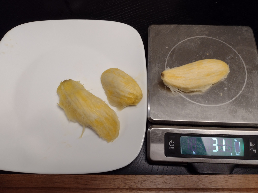 IMG_20210602_190740247