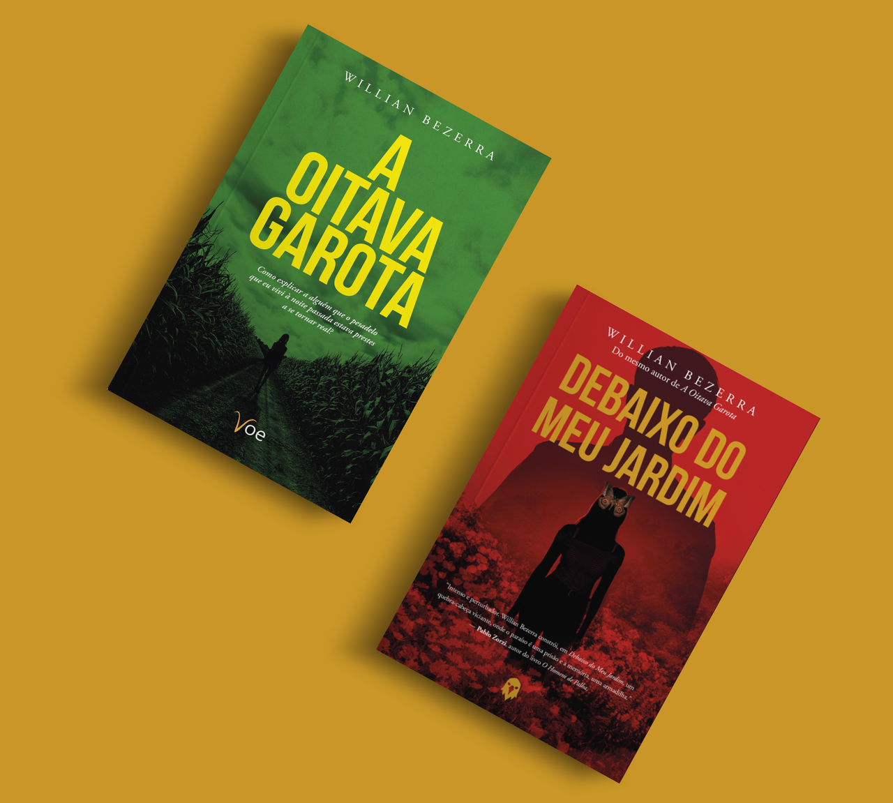 Livros A Oitava Garota e Debaixo do Meu Jardim