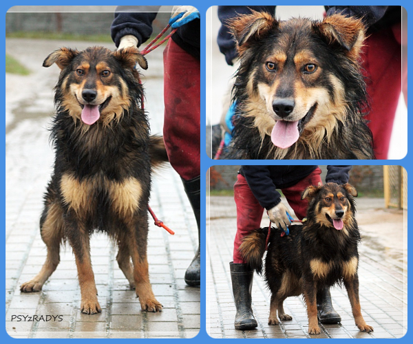 BeFunky-collage (16)