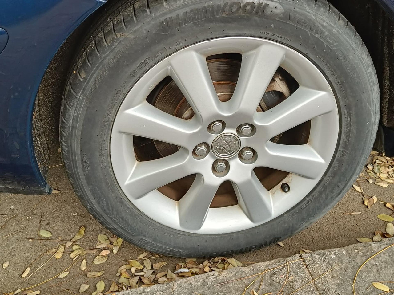 Whats App Image 2026 03 09 at 20 31 53