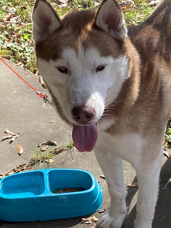 CF8BB19D-3EC3-4E4D-AEB4-D27CCC3910E2