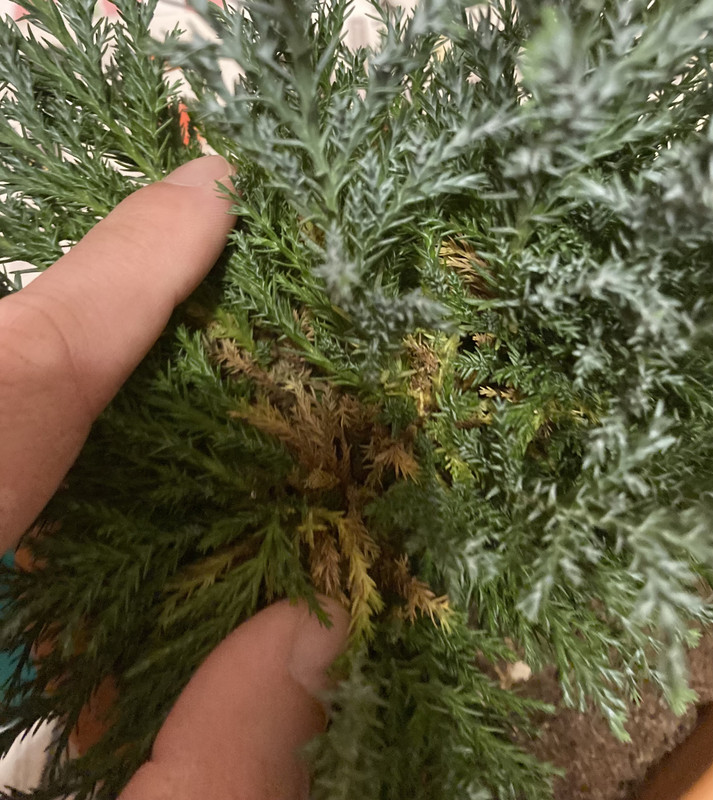 B8DB4A25-89FC-443B-9760-A656DE17F3C0