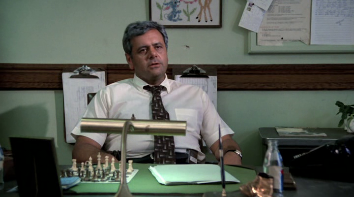 vlcsnap-2015-11-22-19h29m25s1