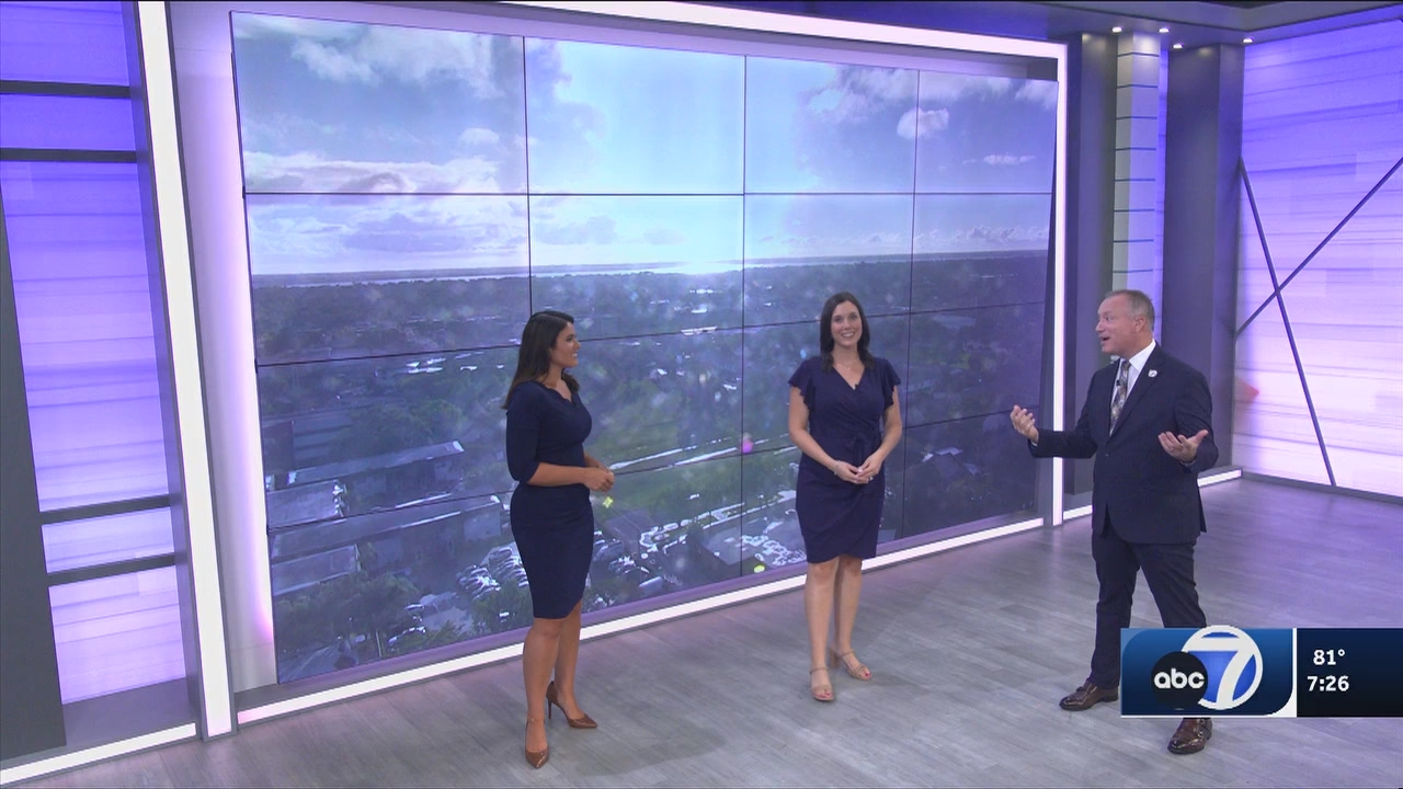 06.14 - 00.00.00 - ABC7 7O'Clock News  ᴺᵉʷ. No Description Info.ts_snapshot_29.11.544