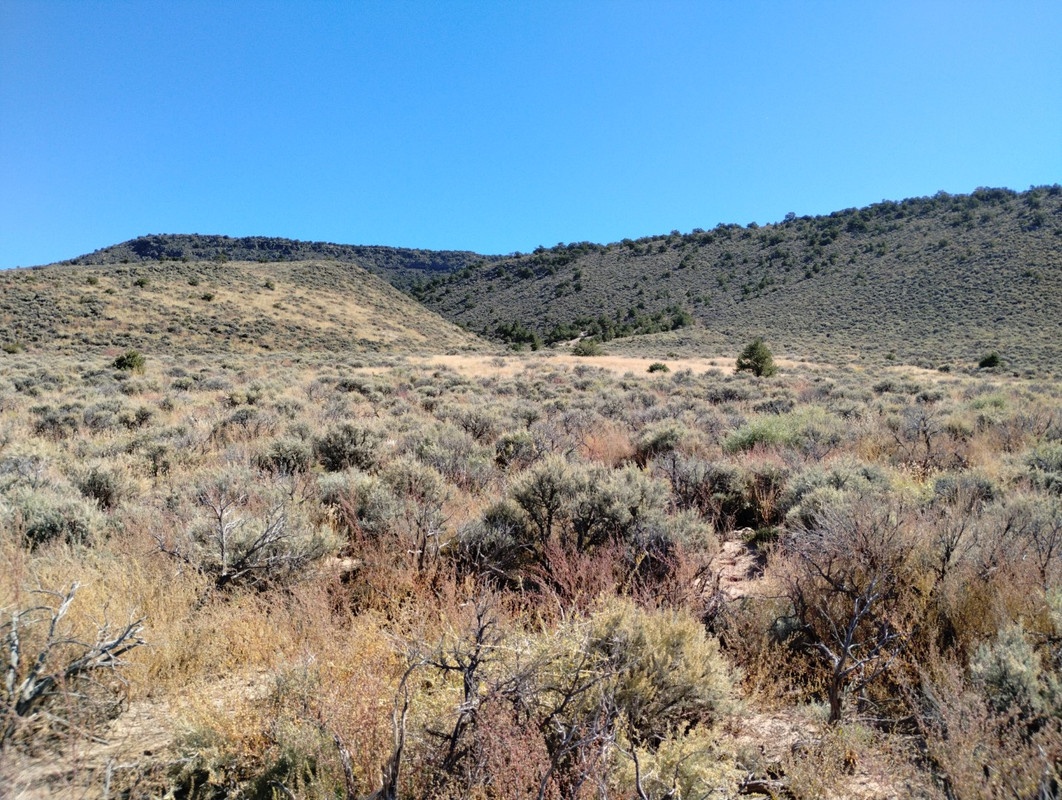 Flash Sale-  30% off!  Run with the horses on Wild Horse Mesa