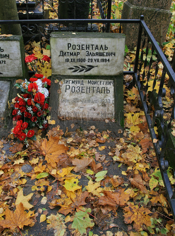 rozental-de-new