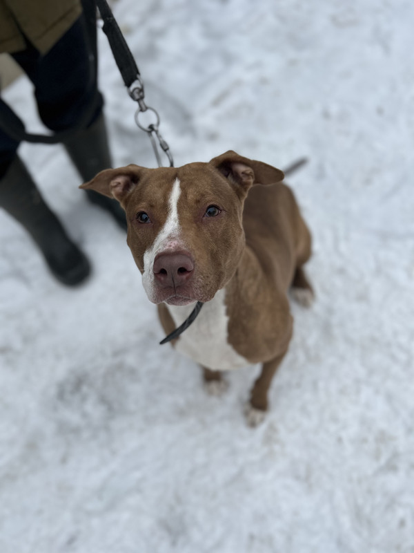 7220268A-BBB8-4382-BABD-CFFE5DF53114