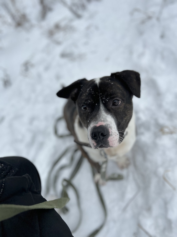 6809DEBC-CEE6-4427-939E-37F4DFEF1E2B