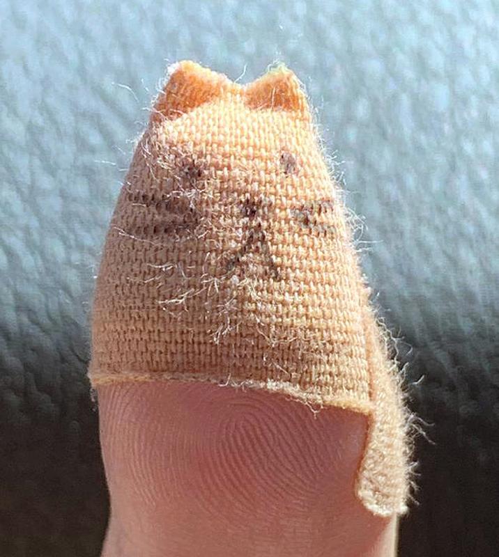 Cat-bandage-cropped-enhanced.jpg