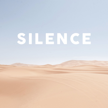 VA - Silence - Musique Calme Et Apaisante (2020) (FLAC / MP3)