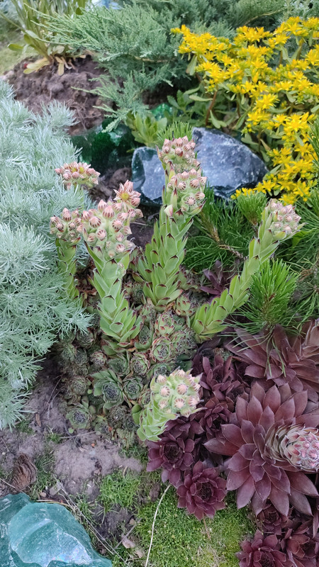 IMG_2023_07_01_20_46_39_1227753244725351825404