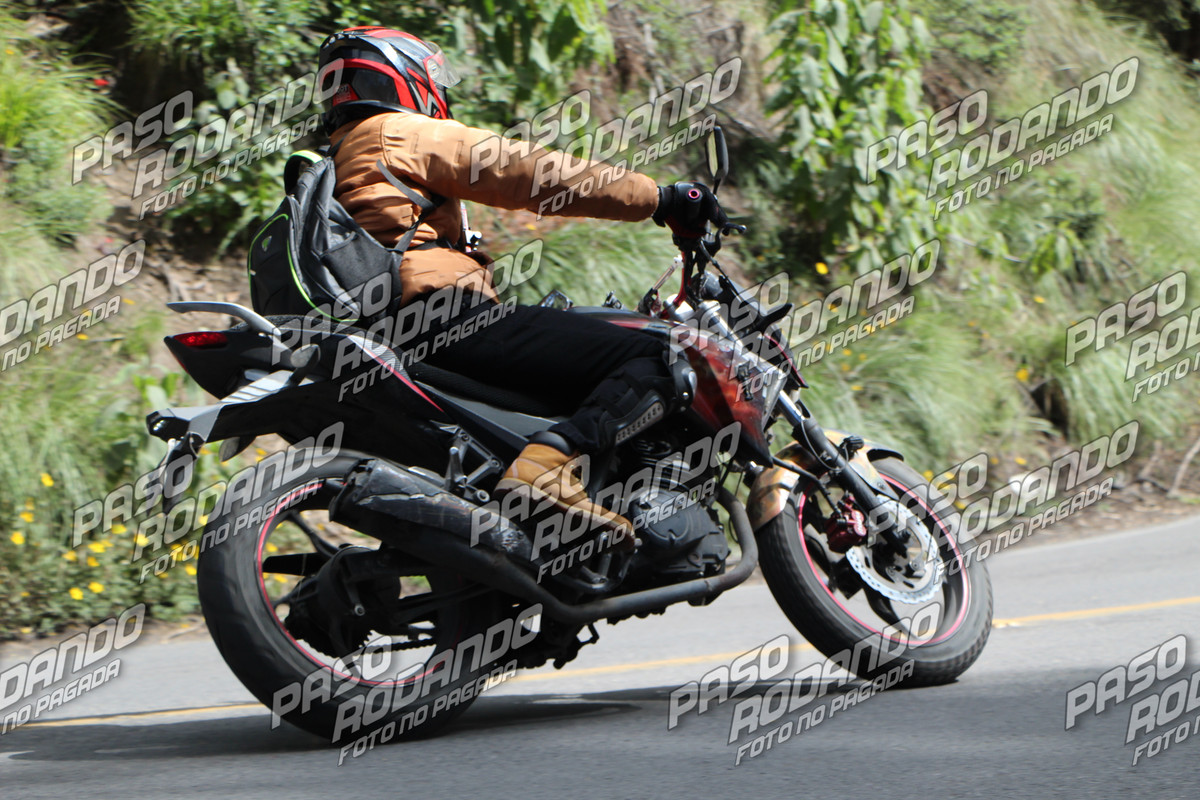 IMG_7917-wm-851445.9000000001_watermarked