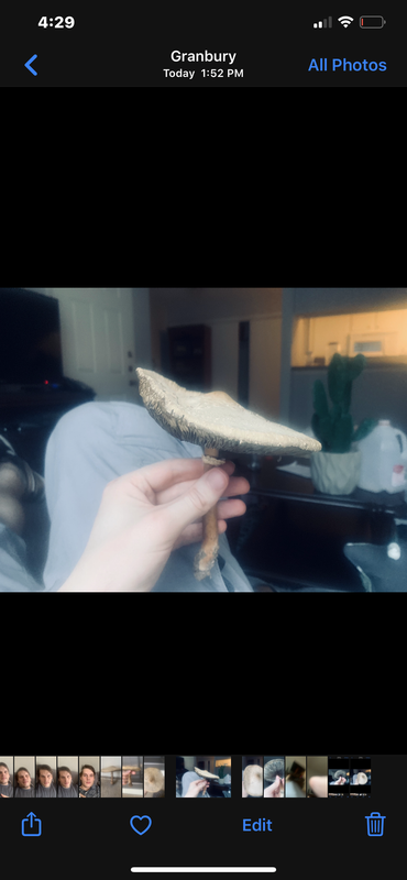 08EAF57B-A612-4806-93B6-3AFB28171973