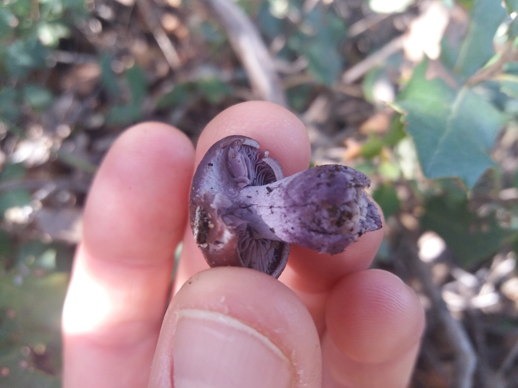 719712B5-C4E4-44CA-9B84-3CAAC00121E2