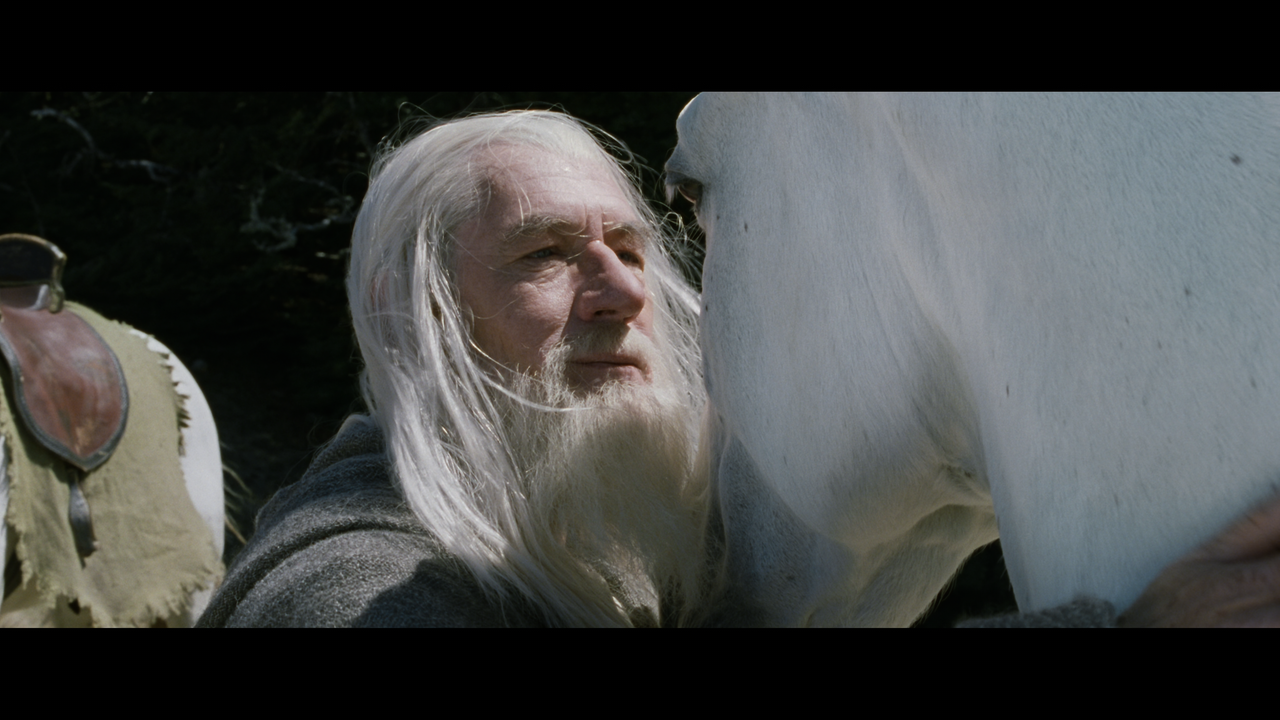 The Lord of the Rings- The Two Towers (EXT.) PT. 1.mkv_snapshot_00.58.05_[2020.12.08_18.04.20]