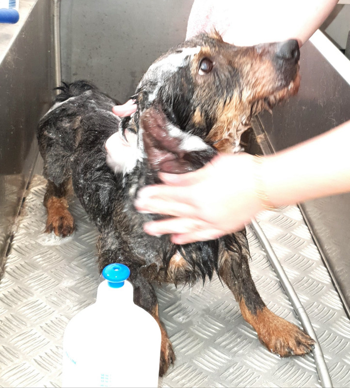 [Image: 20211006-173555.jpg]