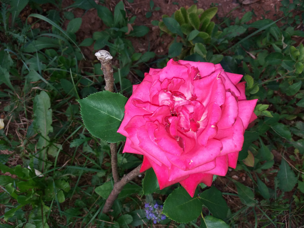 20190622_202842
