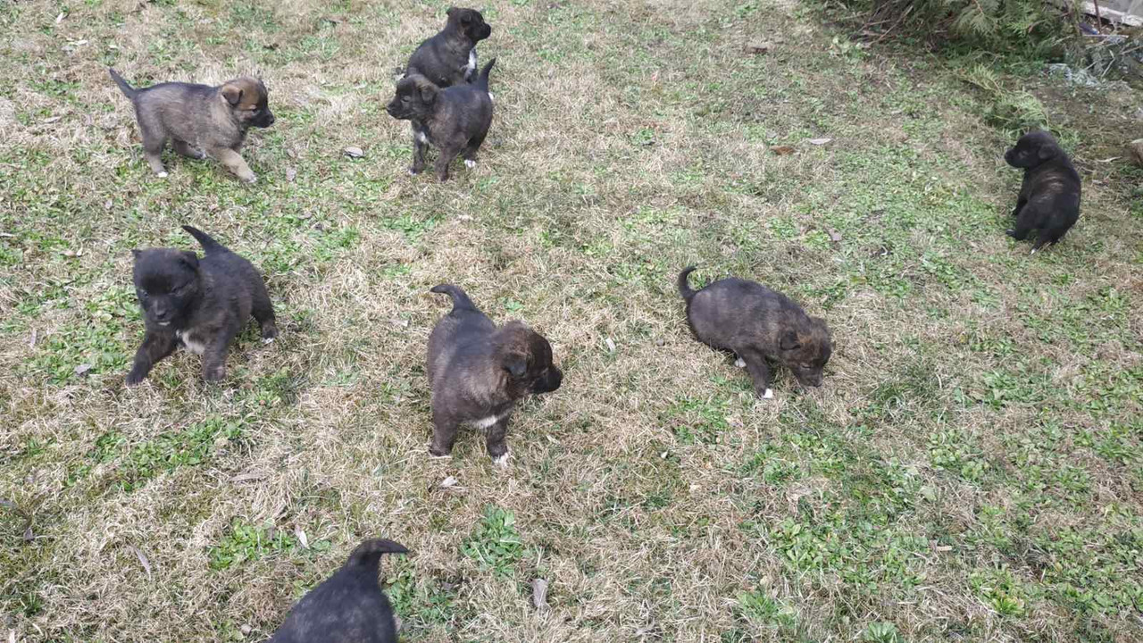 F14E33FB-59AD-4CFB-A42C-392784FF9E75