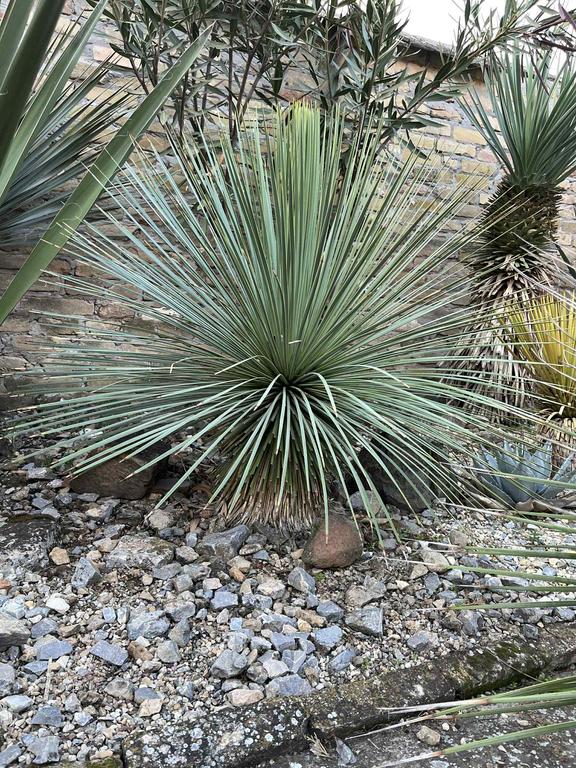 f7b219a3 89b6 462b b0d5 338604f00989