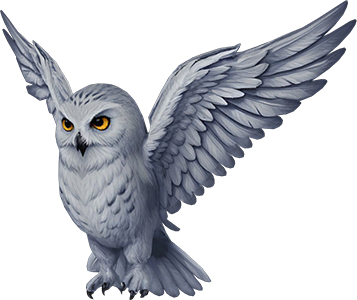 pet.png