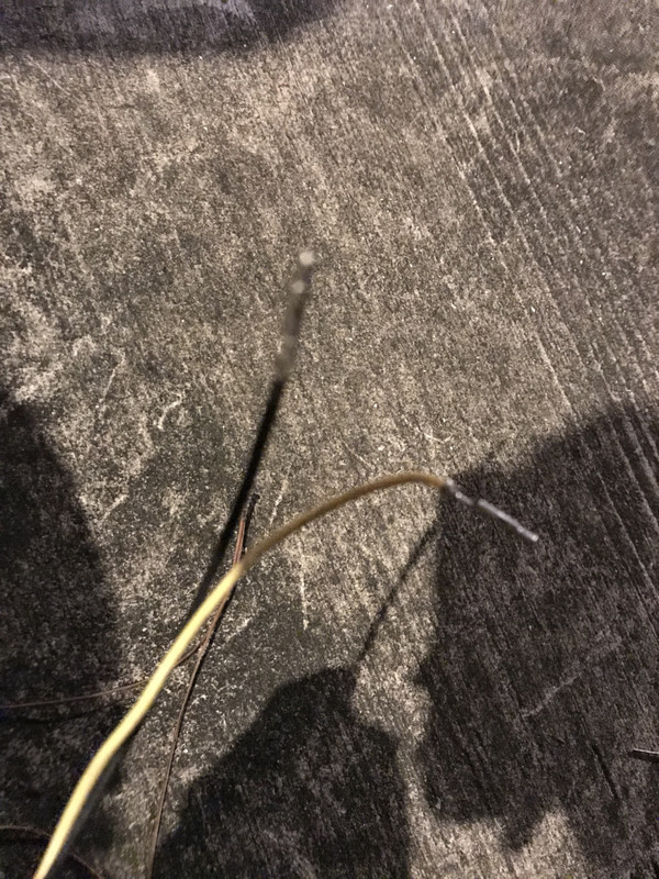 1948BF77-6F6D-48E9-B3A3-8E94E631A5FB